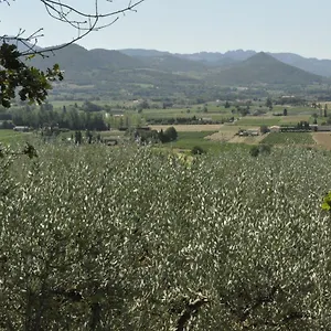 Soleil Et Ombre Villedieu (Vaucluse)